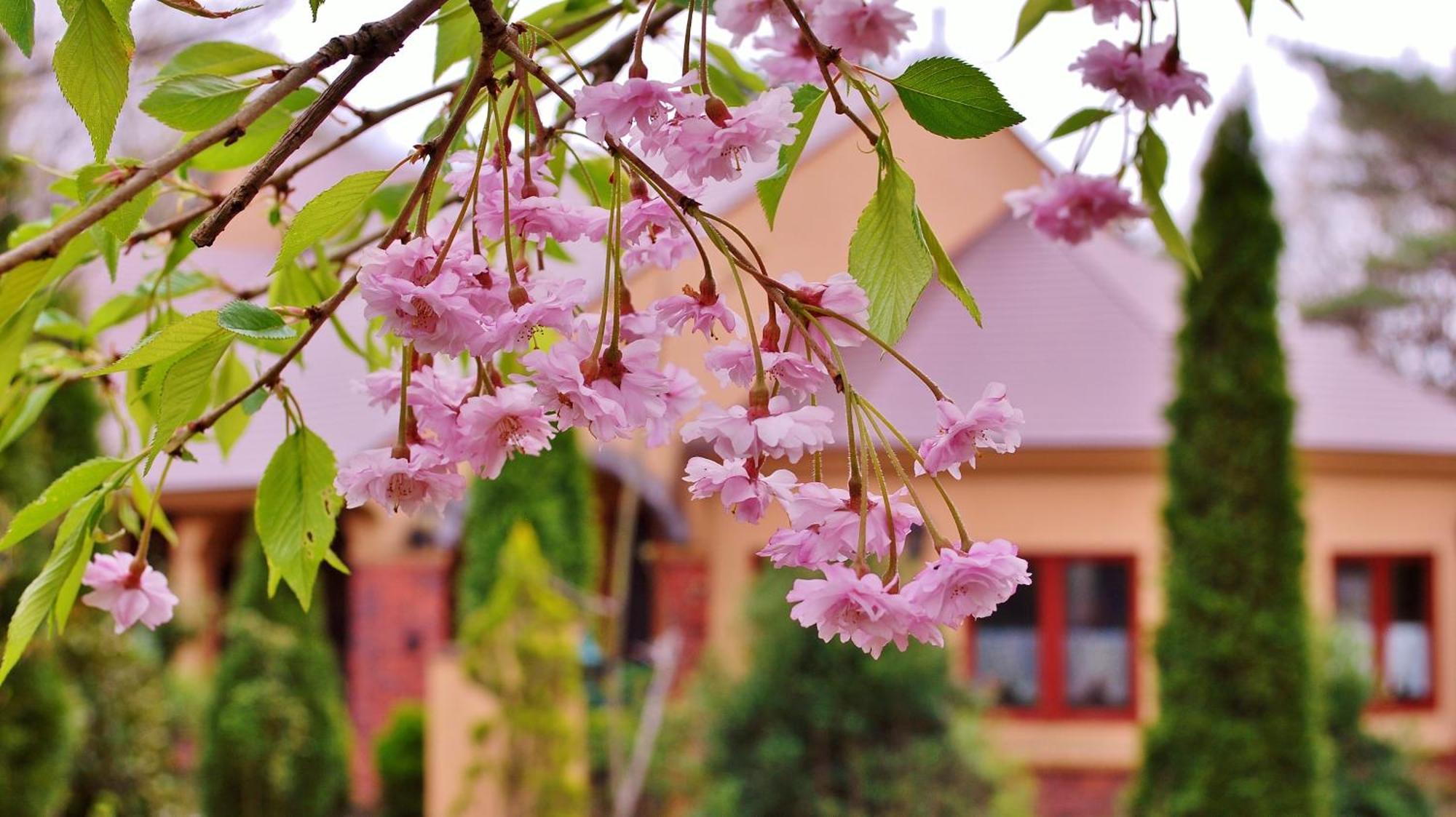 Aromatic Garden Villa La Poltrona Nasu Luaran gambar