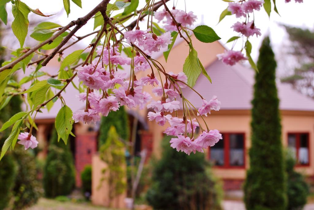 Aromatic Garden Villa La Poltrona Nasu Luaran gambar