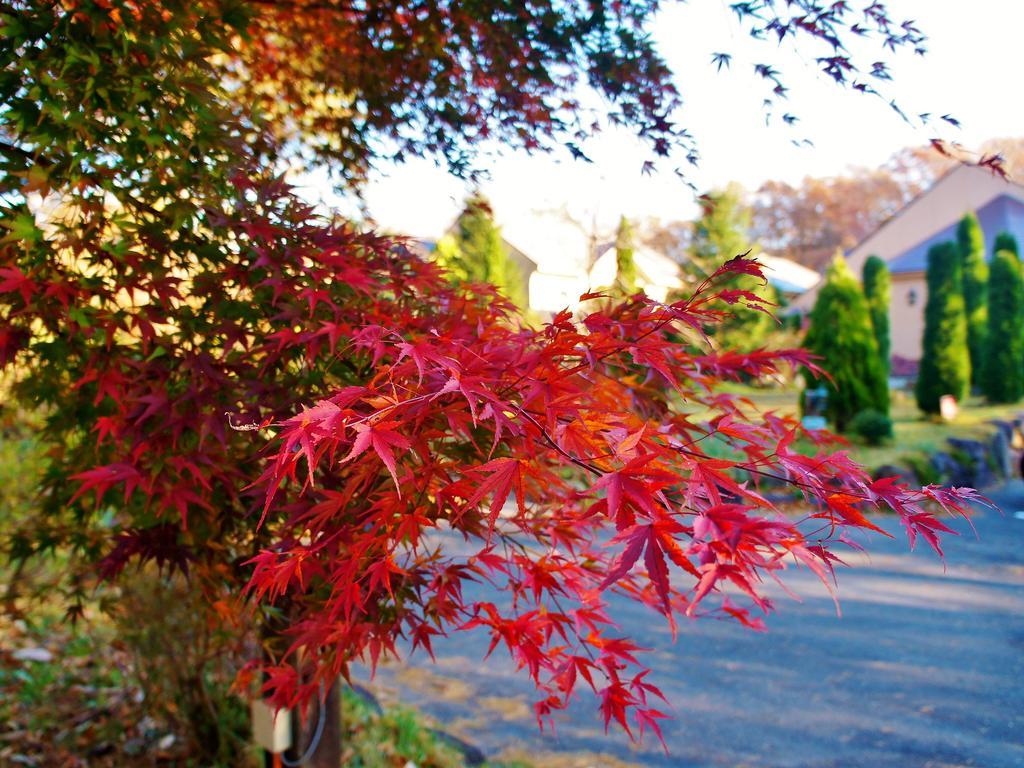 Aromatic Garden Villa La Poltrona Nasu Luaran gambar