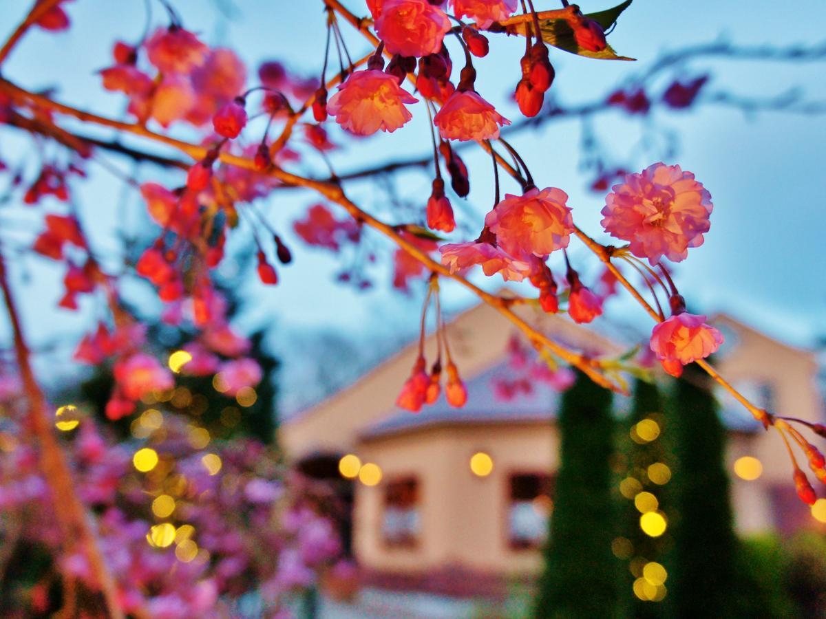 Aromatic Garden Villa La Poltrona Nasu Luaran gambar
