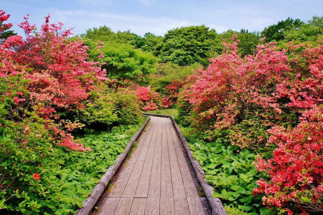 Aromatic Garden Villa La Poltrona Nasu Luaran gambar