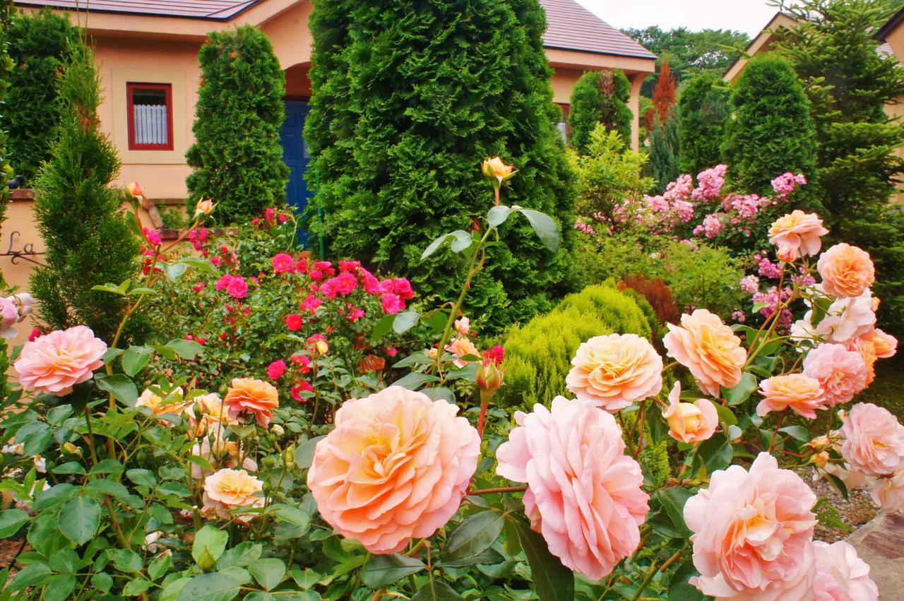 Aromatic Garden Villa La Poltrona Nasu Luaran gambar
